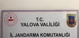 Jandarmadan uyuşturucu operasyonları; 8 gözaltı