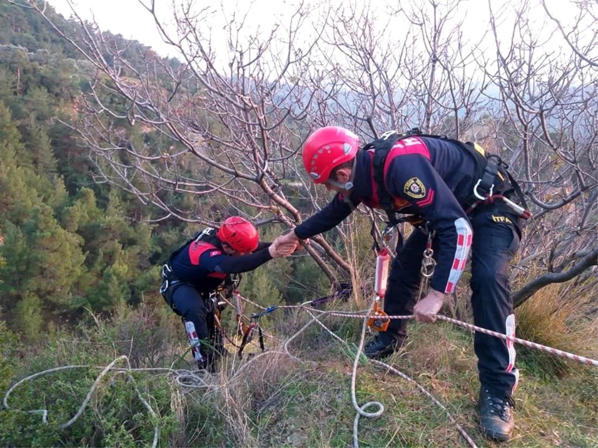 Son dakika: 5 gündür uçurumda mahsur kalan keçi kurtarıldı