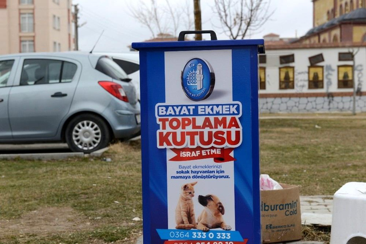 Bayat ekmekler sokak hayvanlarına mama olacak