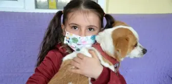 Cemre'nin 'Pamuk' gibi yüreğini tüm Türkiye sevdi