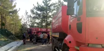 Hatay'ın Erzin ilçesinde orman yangını