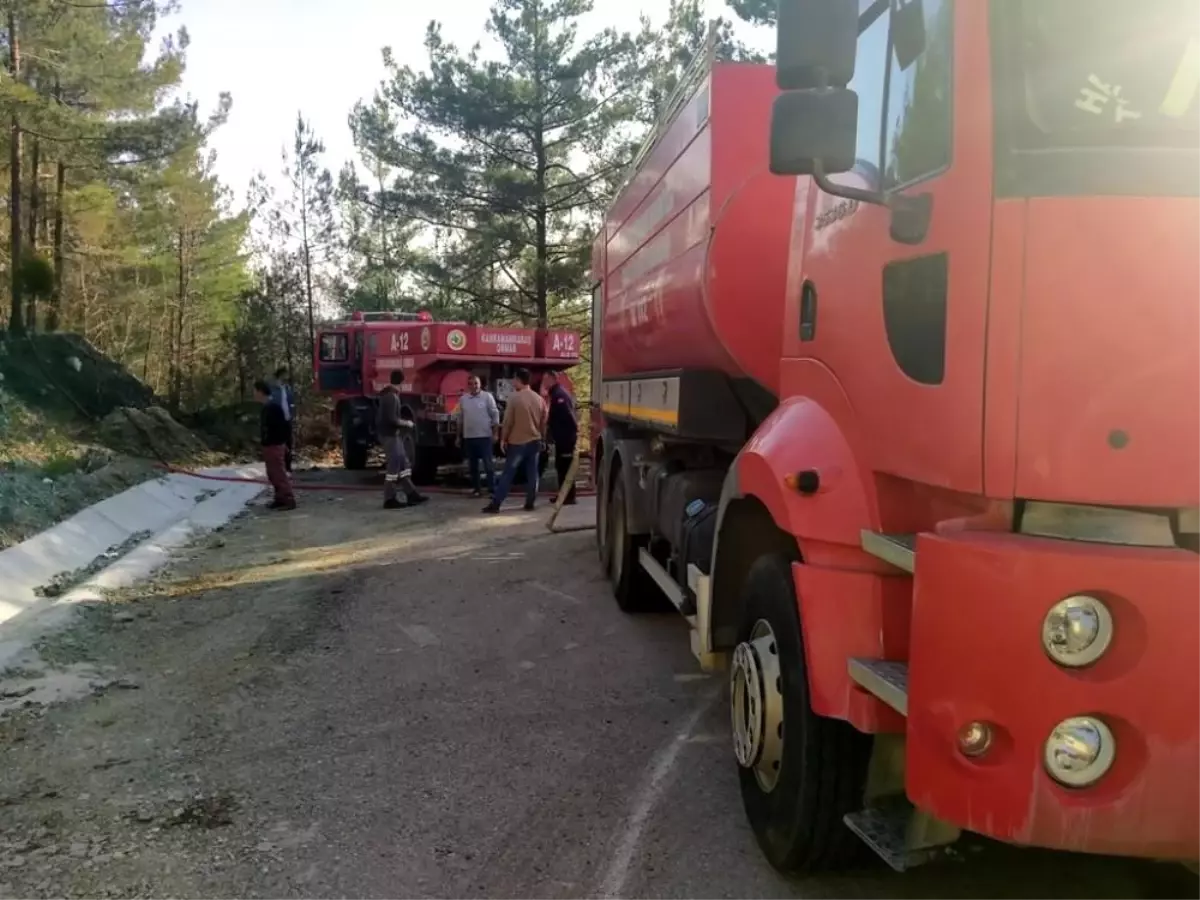 Hatay'ın Erzin ilçesinde orman yangını