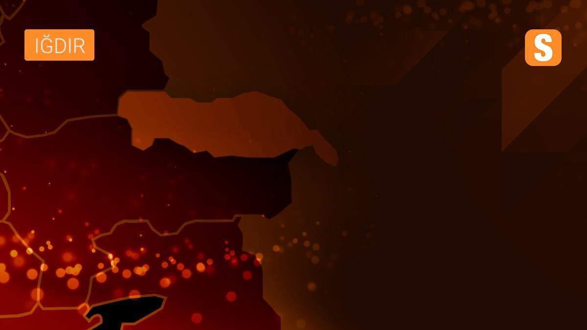 Iğdır\'da bir sürüden 10 koyun çaldıkları iddiasıyla yakalanan 6 şüpheliden biri tutuklandı