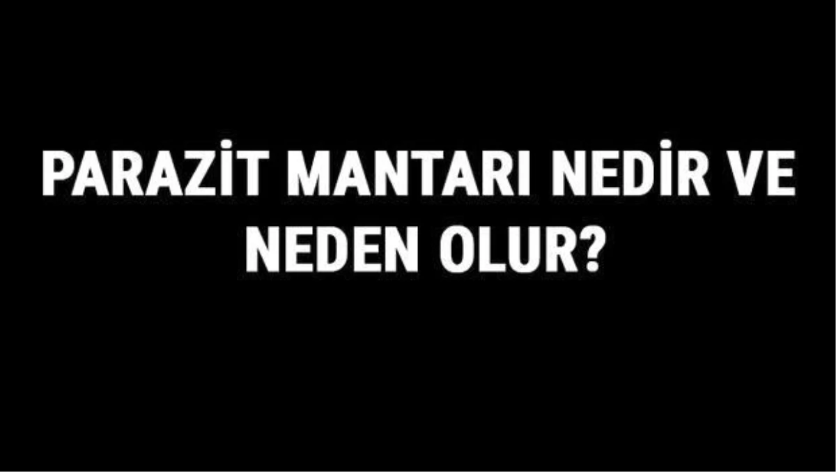 Parazit Mantarı Nedir ve Neden Olur? Parazit Mantarı Nasıl Geçer ve Ne İyi Gelir?