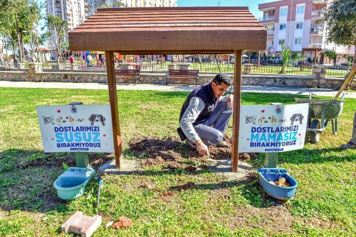Sokak hayvanlarının mama ve su kaplarının bulunduğu alana gölgelik