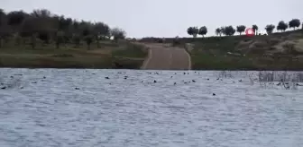 Yarım asırlık yol baraj suları altında kaldı