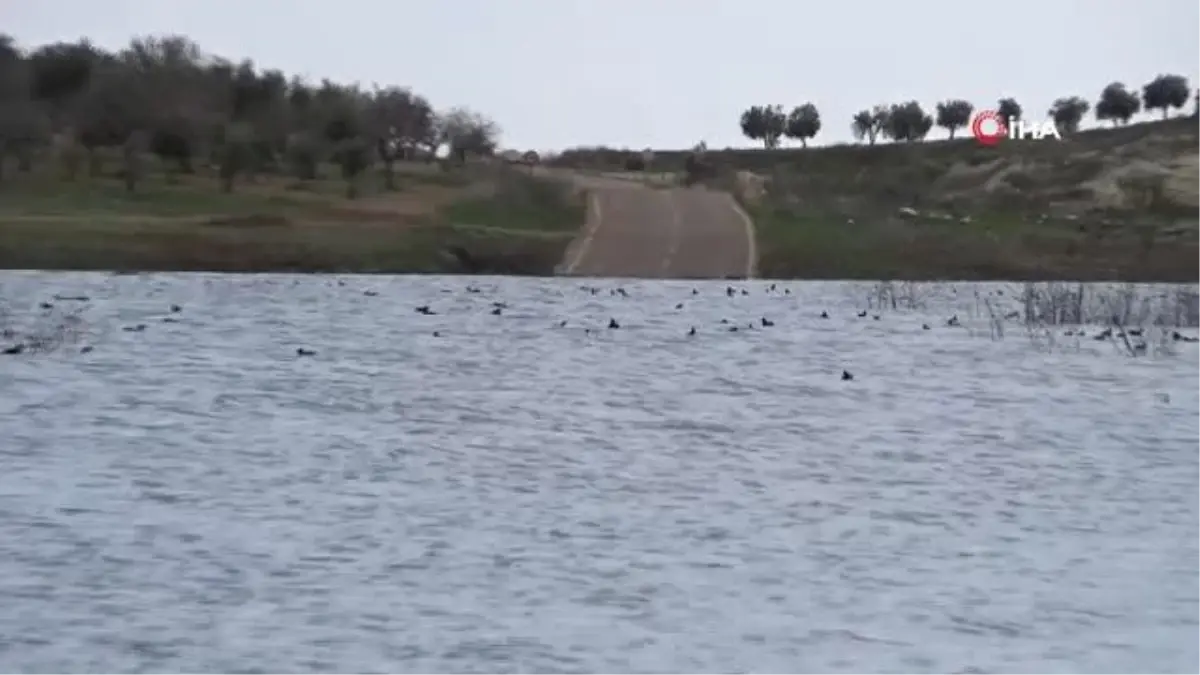 Yarım asırlık yol baraj suları altında kaldı