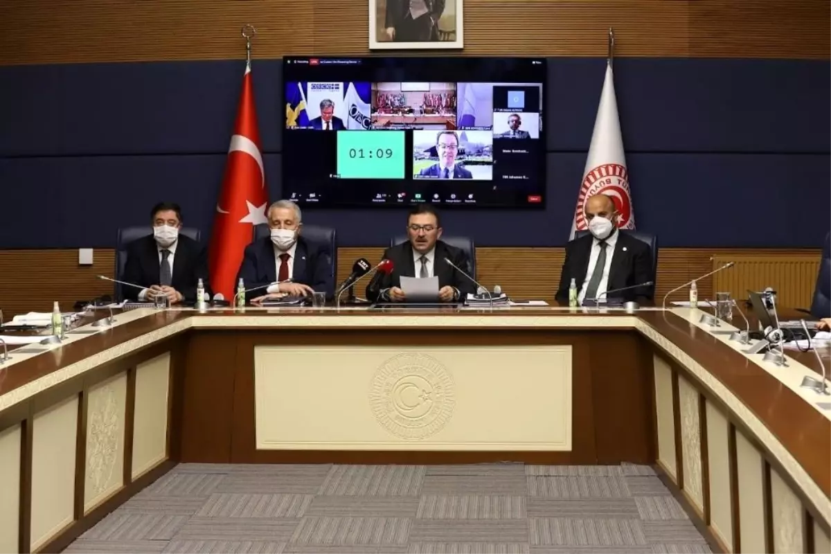 Altınok: "Ermeni iddialarını AGİT PA\'da yanıtladık"