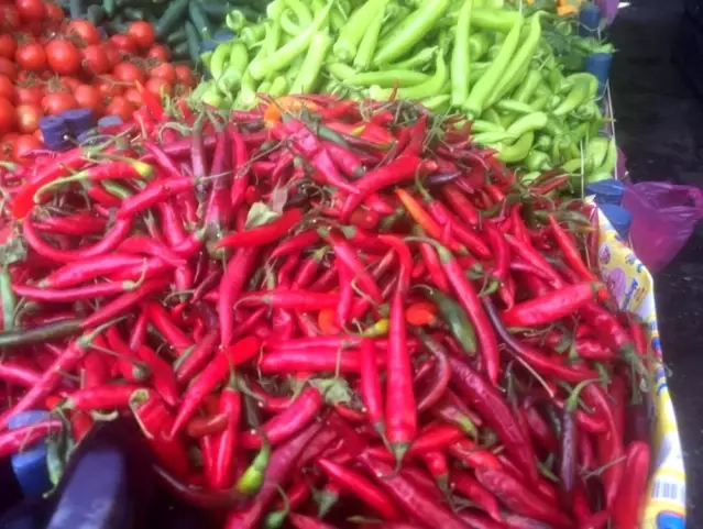 Antalya, Güneydoğu illerine Şili biberi gönderiyor