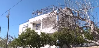 Son dakika haber: Çocukluk hayali 'ressamlık' emeklilikten sonra mutluluğu oldu