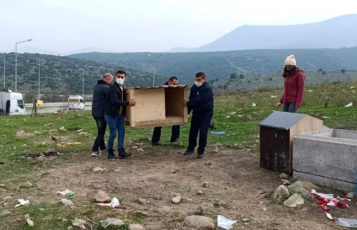 El ele verdiler, sokak hayvanlarını barınaksız bırakmadılar