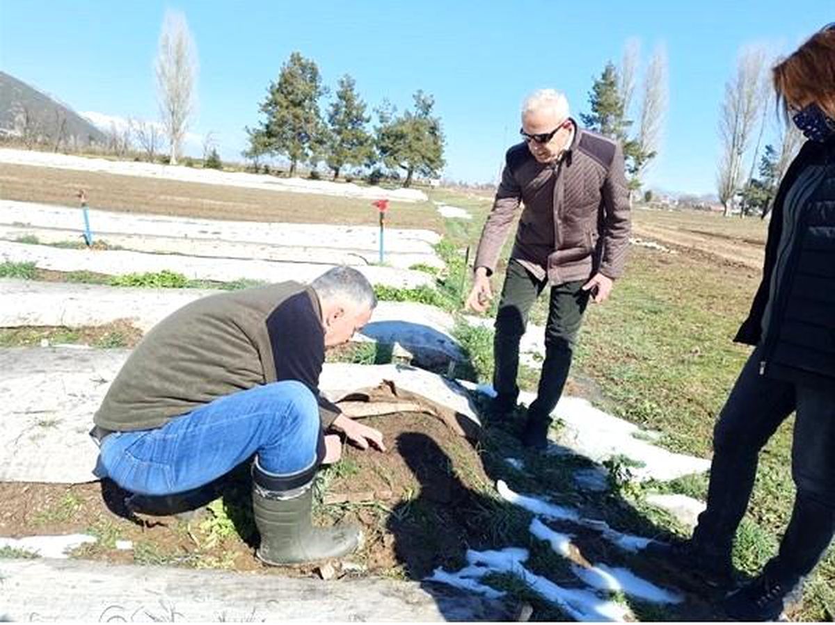Isparta\'da bu yıl 8 milyon 377 bin fidan yetiştirilmesi hedefleniyor