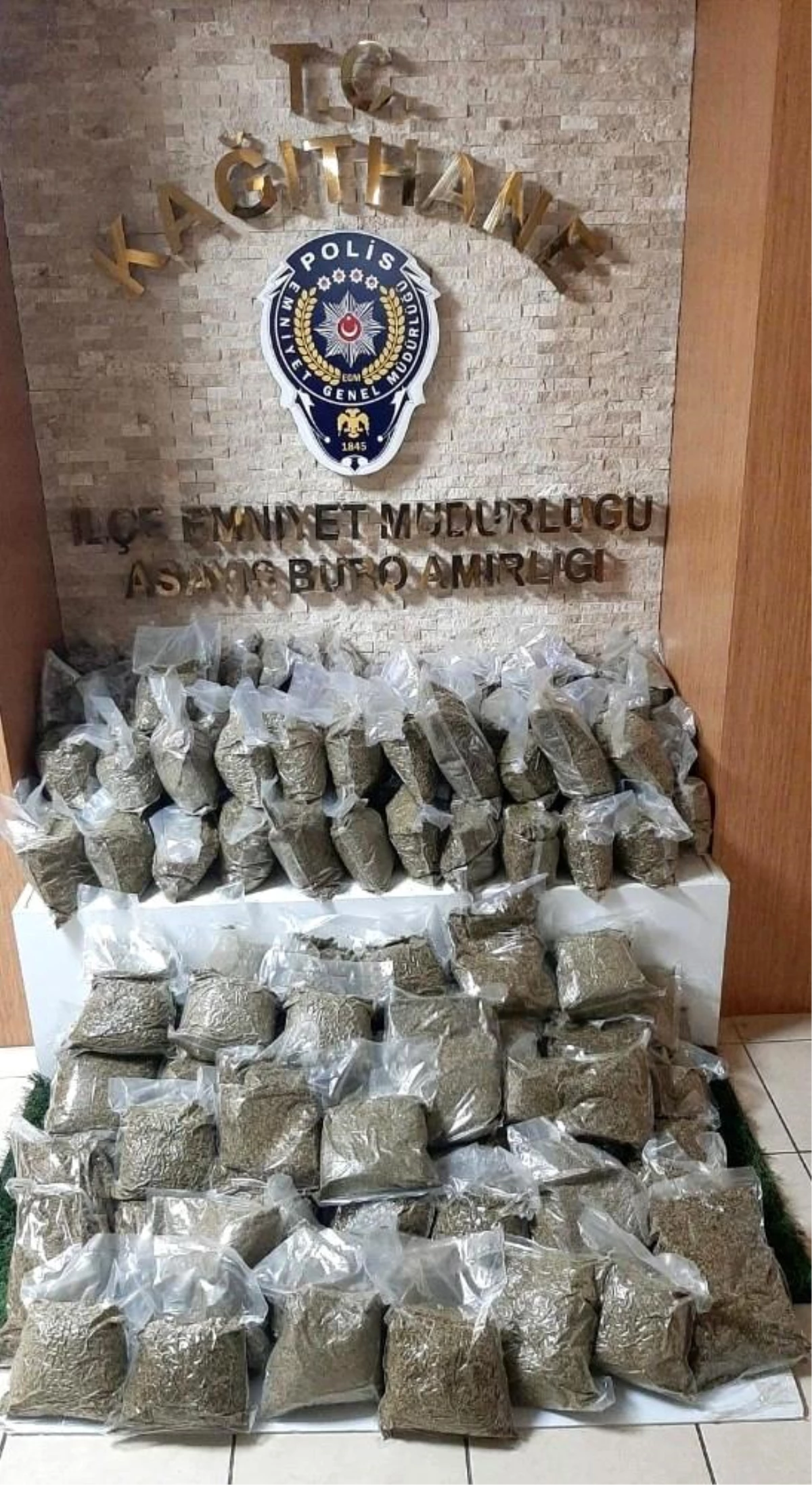 İstanbul\'da dev "bonzai" operasyonu: 74 kilogram ele geçirildi