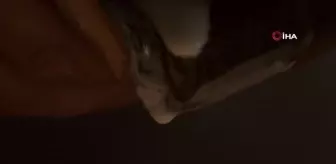 Kırgız ressam yoğurtla portre çizdi