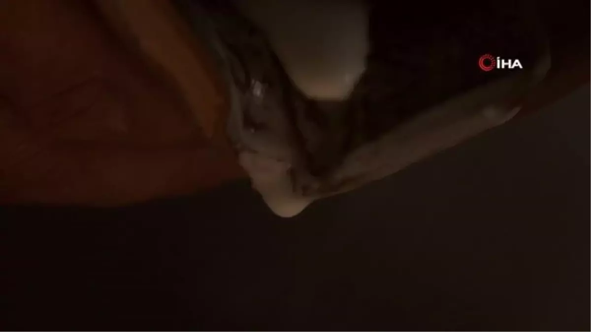 Kırgız ressam yoğurtla portre çizdi