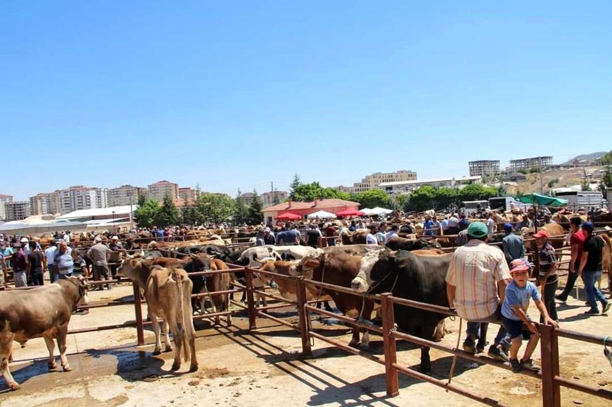 Nevşehir\'de Hayvan Pazarı 1 Mart\'ta yeniden açılıyor