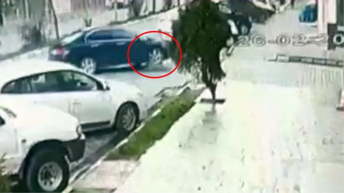 Vicdansız sürücü, hamile sokak köpeğinin üzerinden arabayla geçti