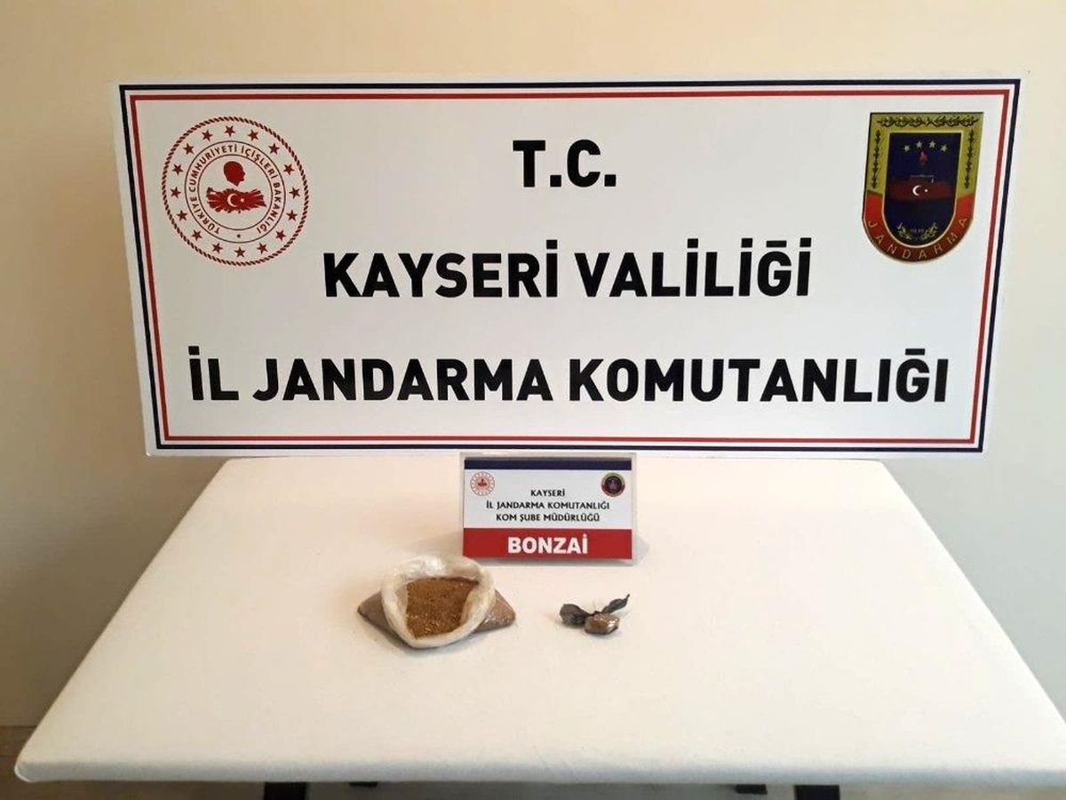 Yahyalı\'da bonzai operasyonu