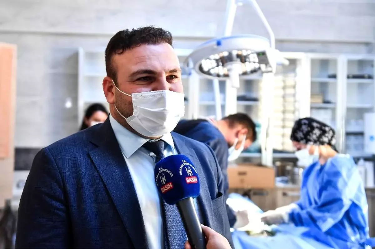 Ankara Büyükşehir Belediyesi\'nden, sokak hayvanları için ilçe belediyeler ile işbirliği