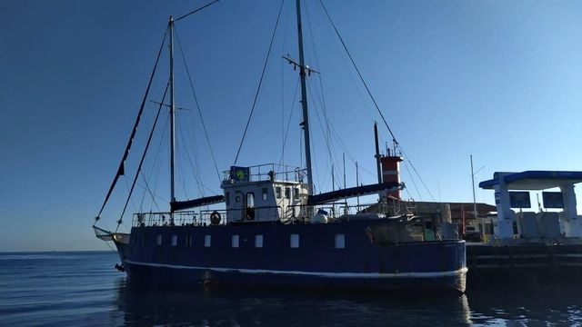 İstihbarat MİT'ten, operasyon Jandarma'dan! 175 düzensiz göçmen 11 organizatörle birlikte yakalandı - Son Dakika