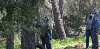 Tıpkı filmlerdeki gibi! Kendisini ağaca iple asan adam son anda kurtarıldı