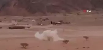 Yemen'deki çatışmalarda 50 Husi milisi öldürüldü