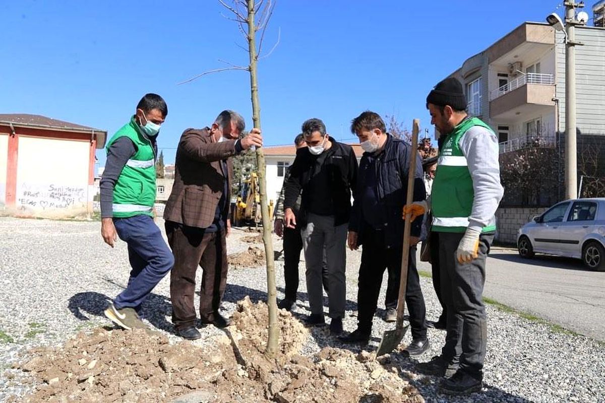 Alitaşı Mahallesi yeşilleniyor