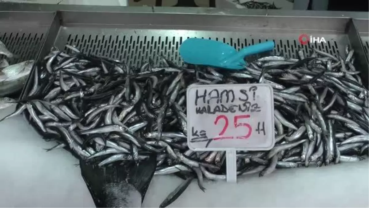 Balıkta zam şampiyonu çinekop oldu: Kilosu 60 TL