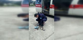 Son dakika haber: Başı konserve kutusuna sıkışan kediyi itfaiyeciler kurtardı