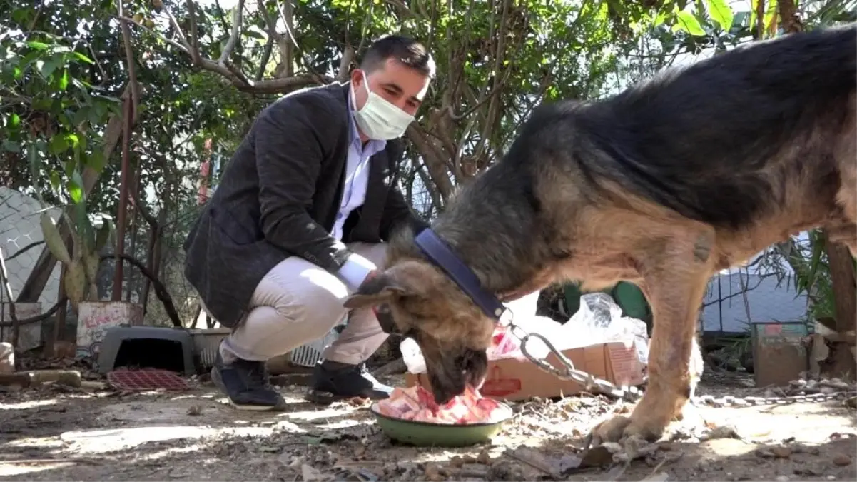 Cezaevinden gelen dilekçe hayvanları ölümden kurtardı