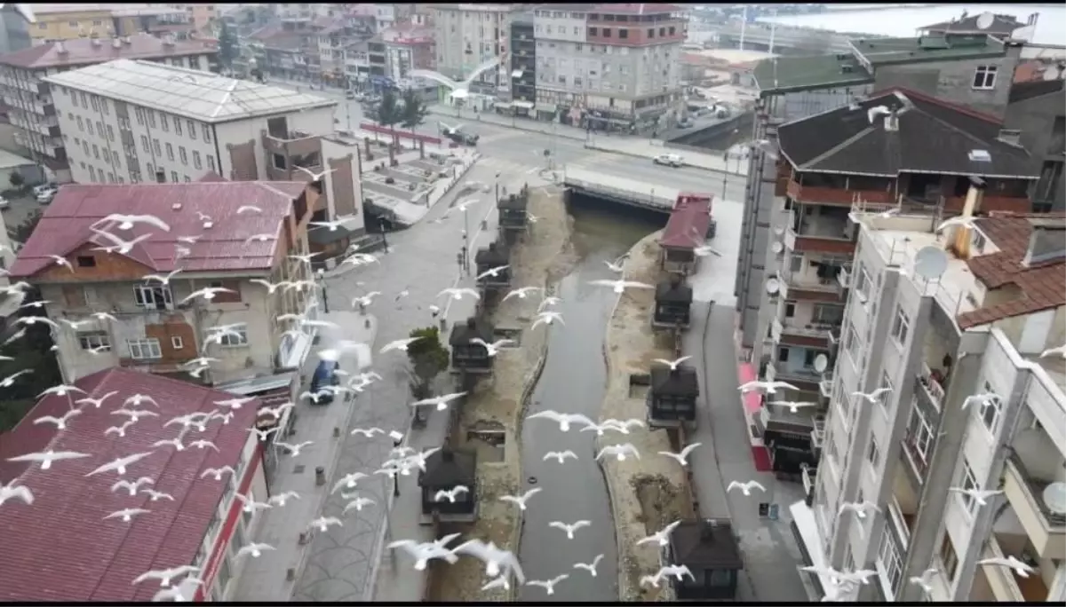 Rize'de drone denetimi başladı