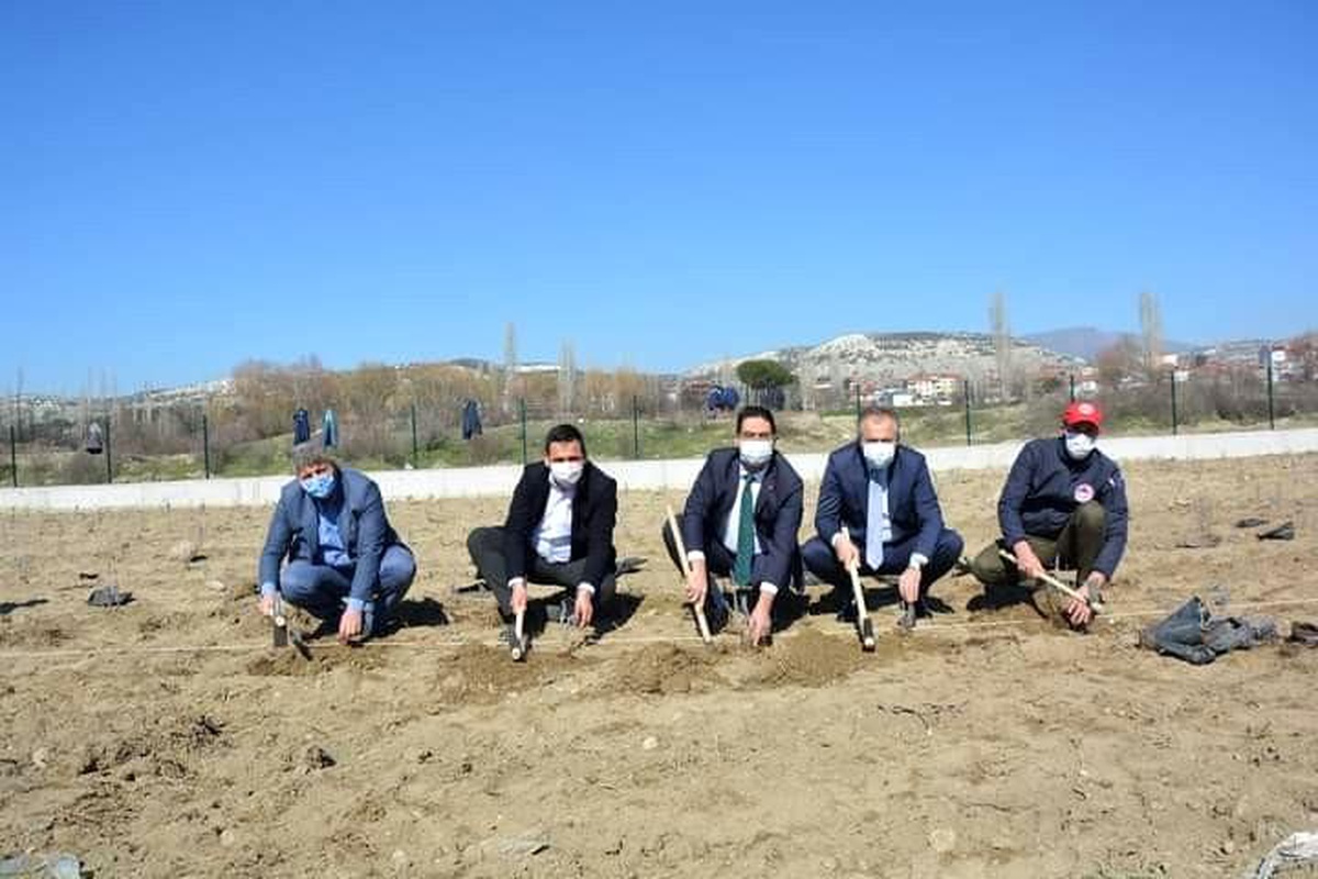 Son dakika haberi: Selendi\'de cirit sahası artık lavanta kokacak