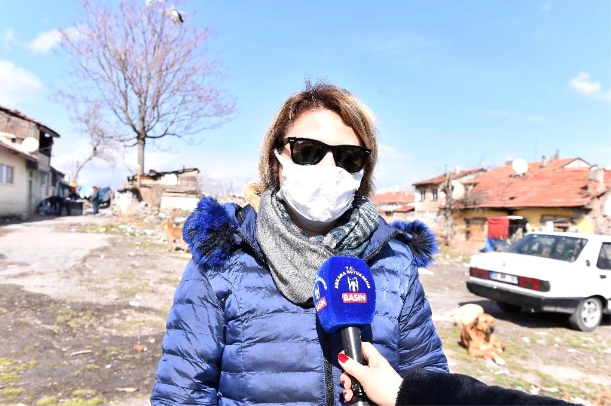 Ankara Büyükşehir Belediyesi, sokak hayvanlarına mama desteğini sürdürüyor