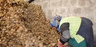 Bağcılar Belediyesi, Nevşehir'den 100 ton patates aldı