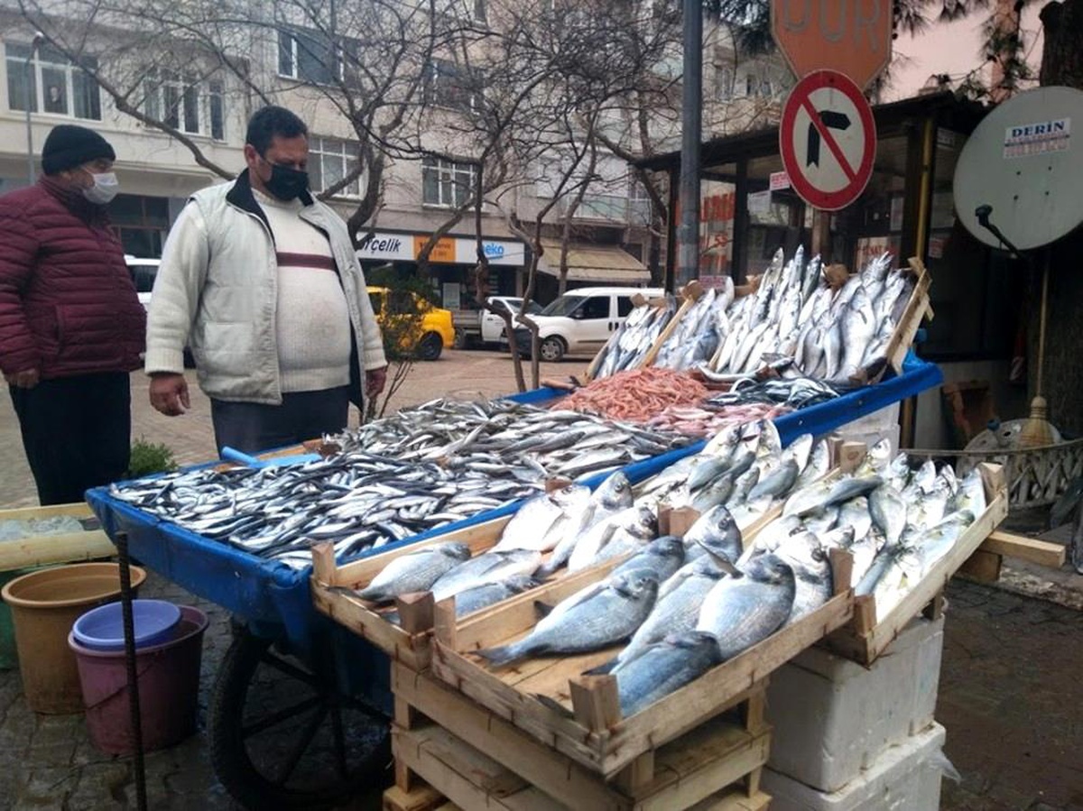 Balık fiyatları el yakıyor