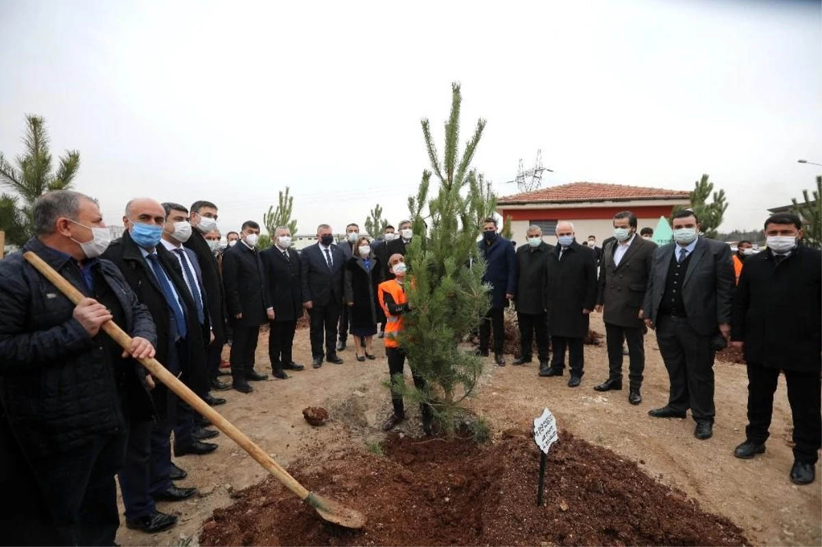 Gaziantep\'te "YeşilAntep" projesi