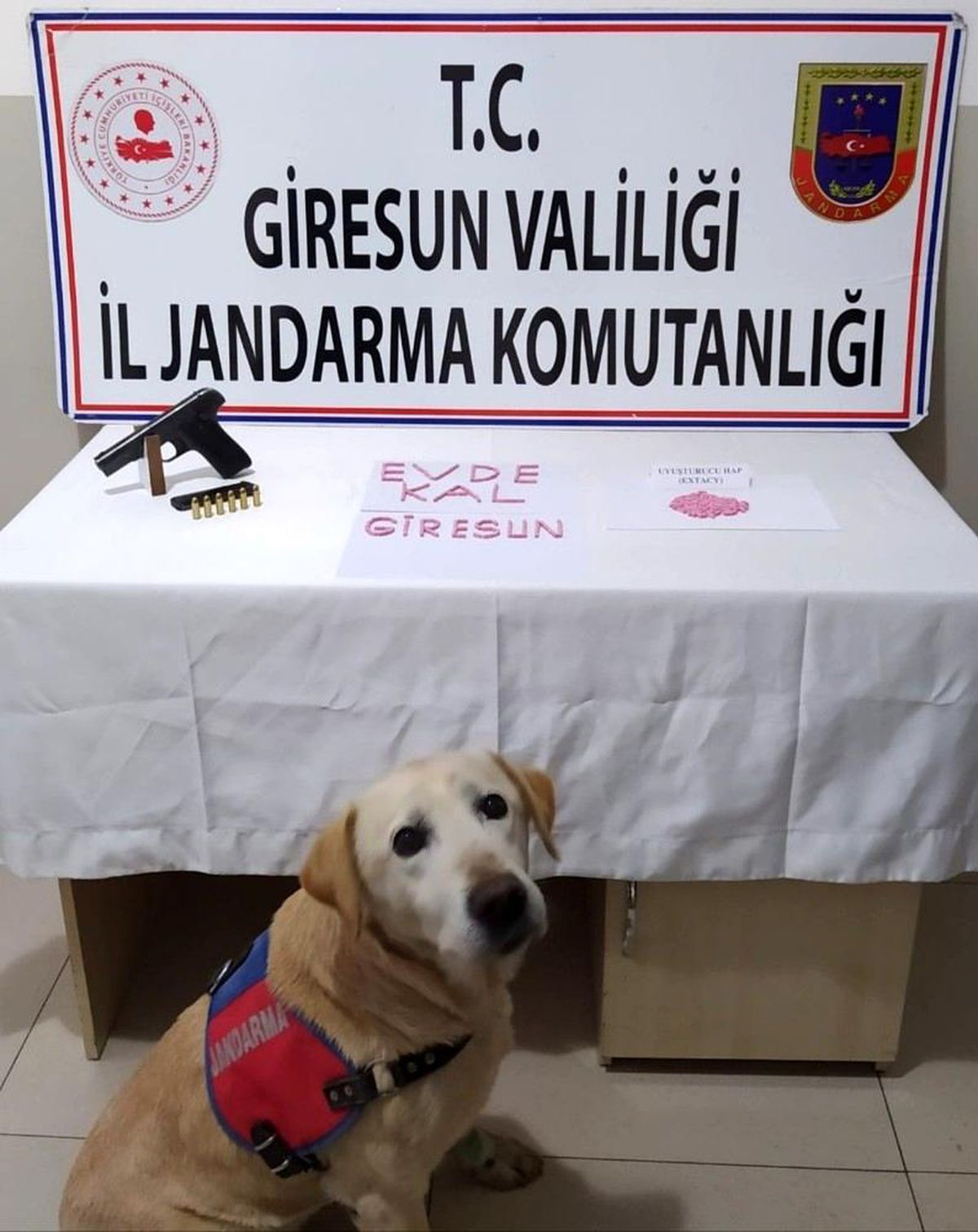 Giresun\'da 220 adet uyuşturucu hap ele geçirildi