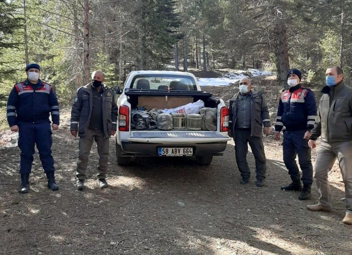 Kaçak avcılar yakalandı, araçta bulunan keklikler doğaya salındı