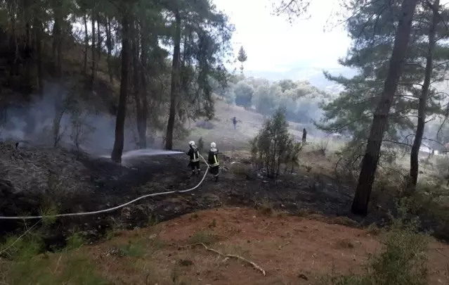 Son dakika haberi | Muğla'da yılın ilk orman yangını