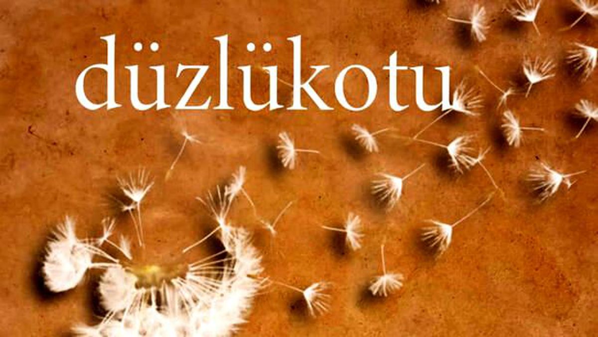 Unutulan ancak yaşanmaya devam eden bir hikaye: Düzlükotu