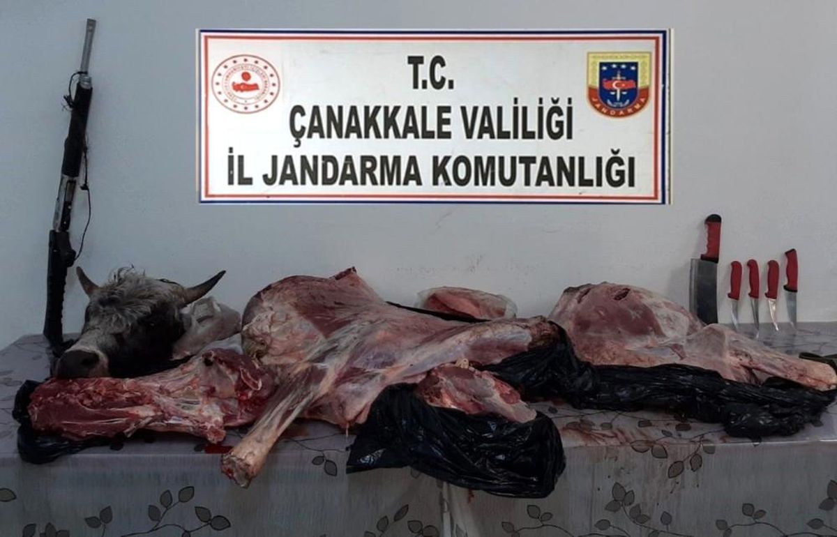 Çanakkale\'de tüfekle vurdukları hayvanı çalan şahıslara suçüstü
