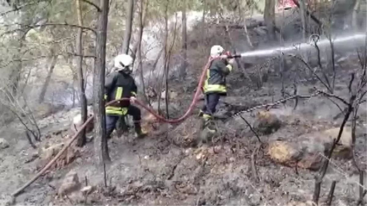 Fethiye\'de çıkan orman yangını söndürüldü