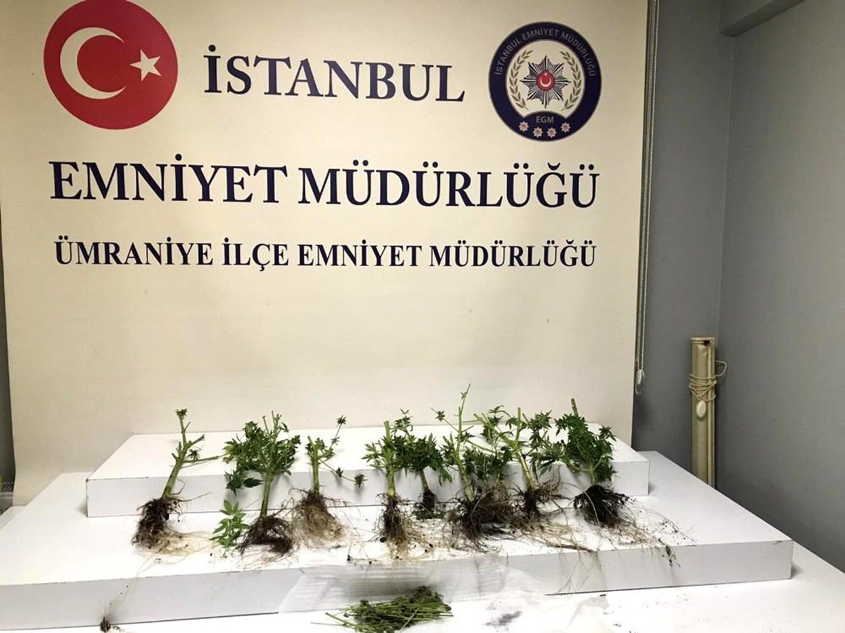 Ümraniye'de uyuşturucu imal edilen eve baskın