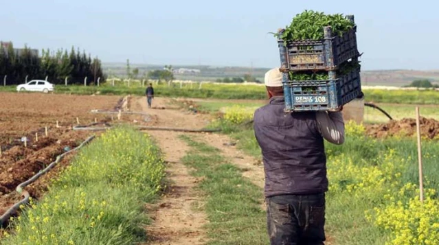 Çiftçinin dört gözle beklediği borç yapılandırması yolda