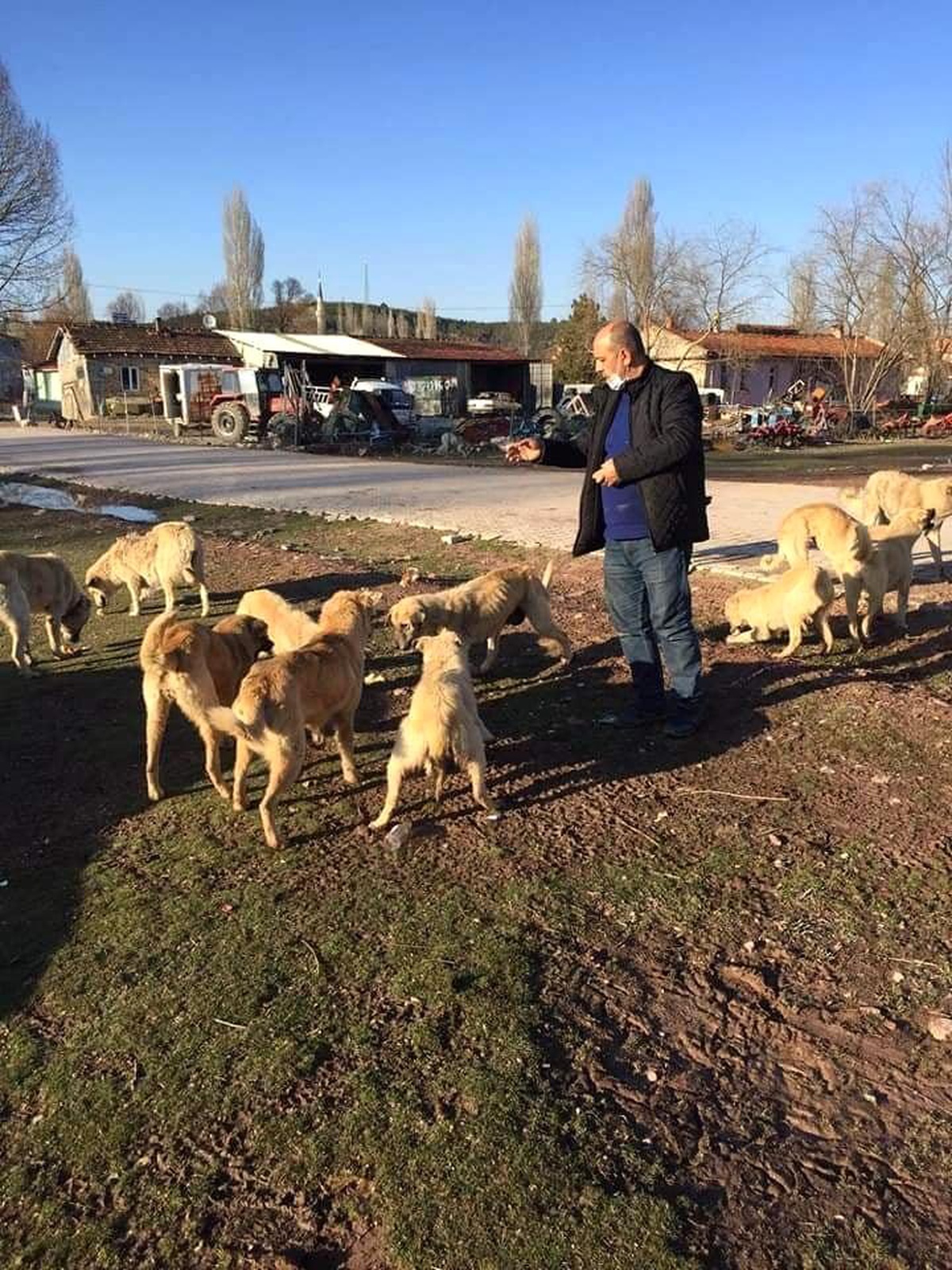 Köydeki 25 köpeği emekli vatandaş besliyor
