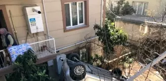 son dakika tata haberleri tata son dakika