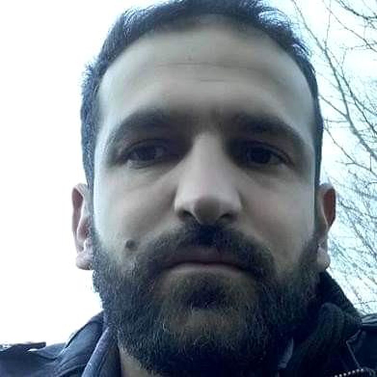 Üzerine ağaç düşen şahıs hayatını kaybetti