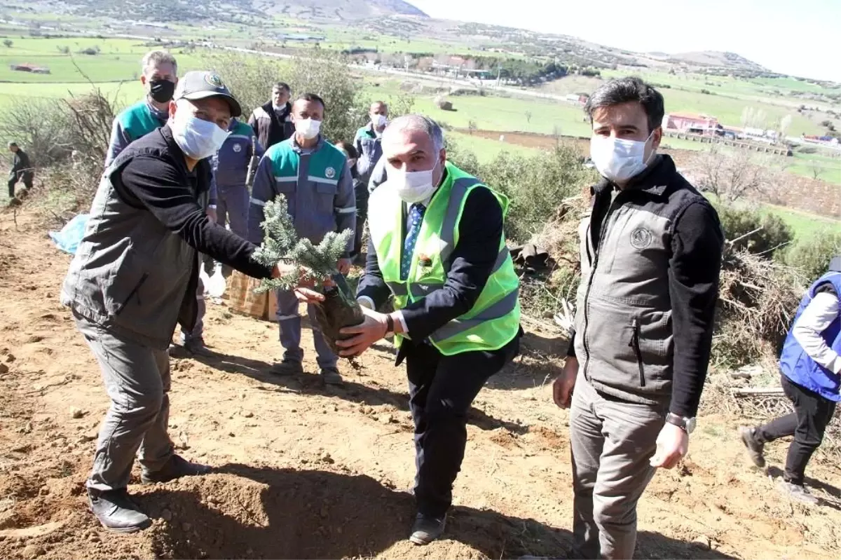 Son dakika... Bakan Kasapoğlu adına memleketi Kula\'da hatıra ormanı oluşturuldu