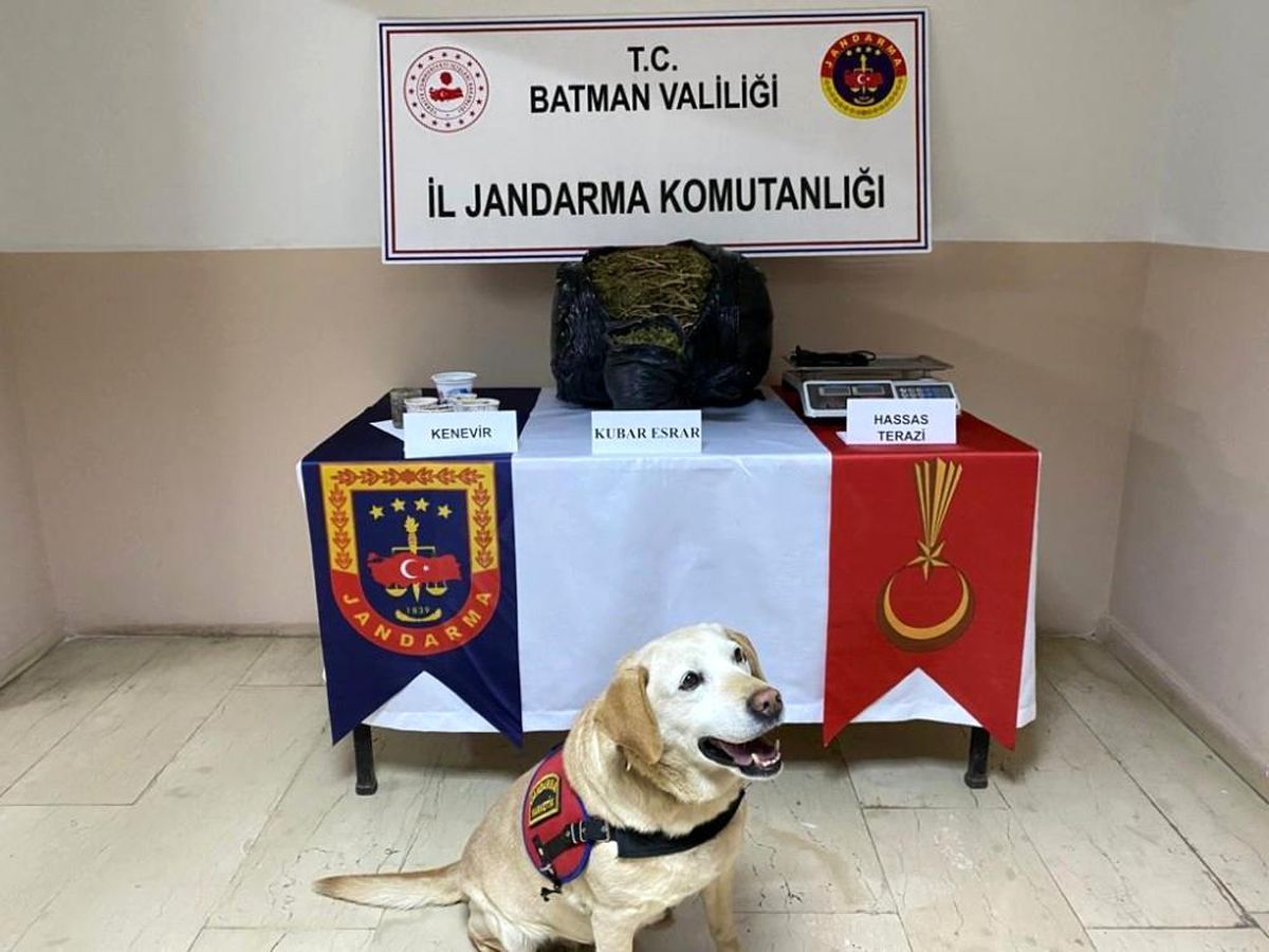 Batman\'da 11 kilo 250 gram esrar ele geçirildi