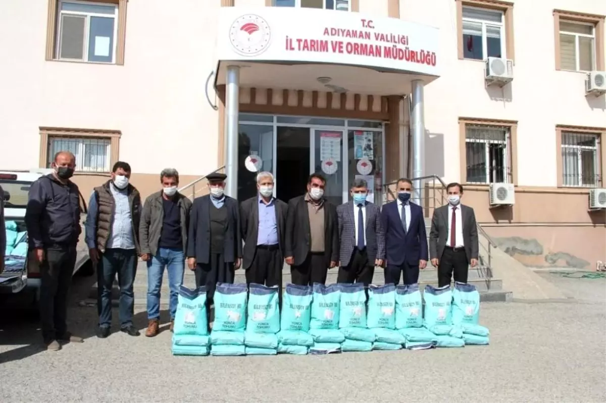 Çiftçilere yem bitkisi tohumu dağıtıldı